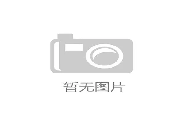 蒂亚戈·席尔瓦与范戴克：防线核心构建逻辑的分化